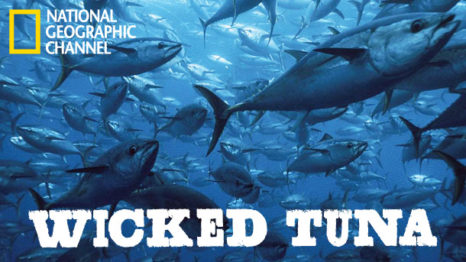 e4c0j-e1463420237752