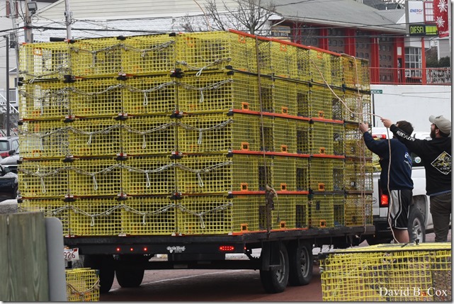 2018 3 31 Gen Gardeners & Misc Walks 009