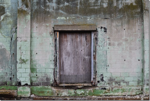 2018 3 31 Gen Gardeners & Misc Walks 012