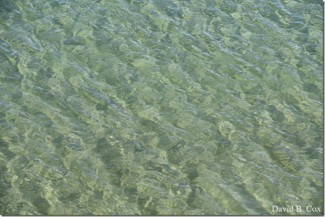 2018 4 14 Misc Walks Waterfront 007