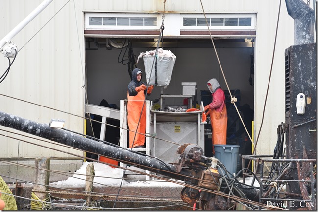 2018 4 14 Misc Walks Waterfront 011