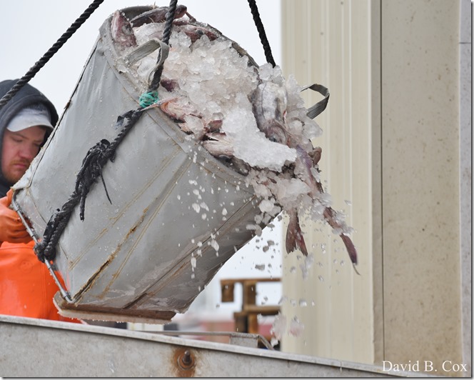 2018 4 14 Misc Walks Waterfront 028