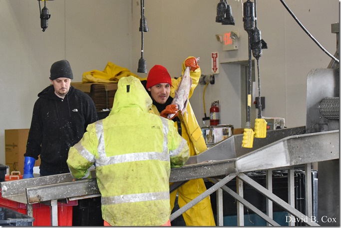 2018 4 14 Misc Walks Waterfront 037