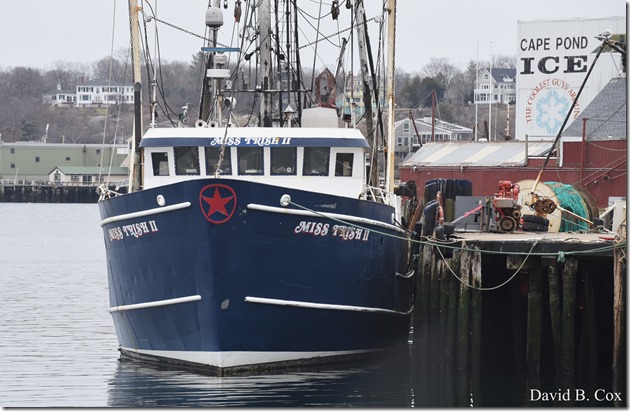 2018 4 14 Misc Walks Waterfront 045