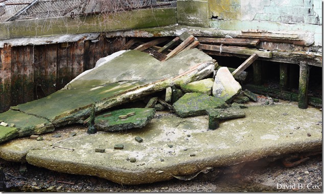 2018 4 14 Misc Walks Waterfront 046