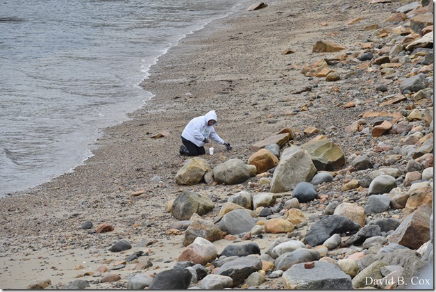 2018 4 14 Misc Walks Waterfront 065