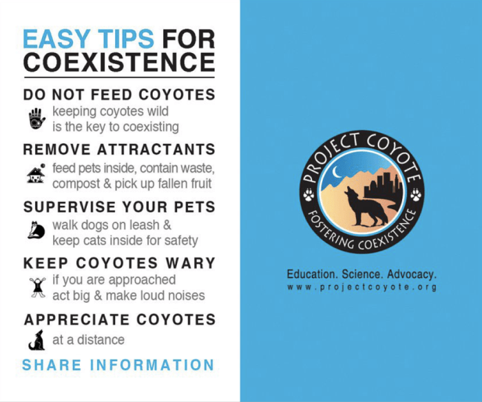 Coyote tips card