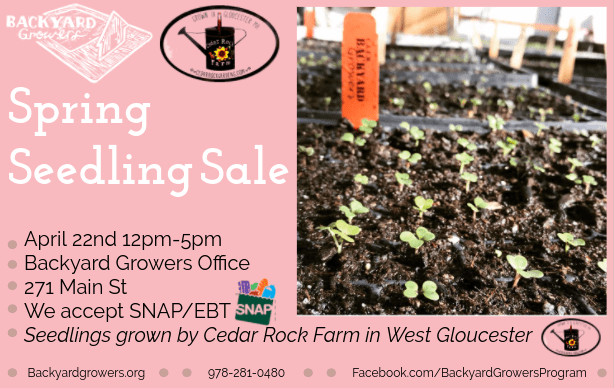 Screenshot 2018-04-17 at 11.36.57 AM