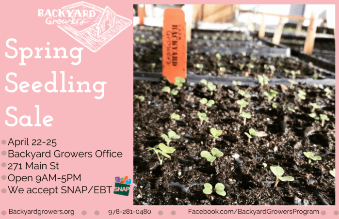 Spring Seedling Sale Info (1).png