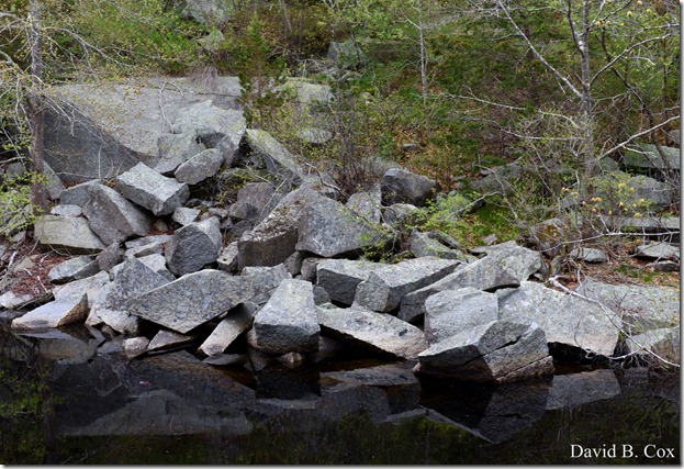 2012 5 8 Walks & GHS BB vs Malden 020