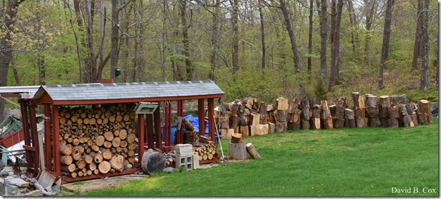 2012 5 8 Walks & GHS BB vs Malden 025