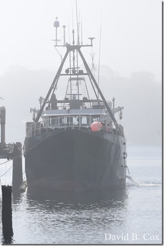 2012 5 8 Walks & GHS BB vs Malden 118