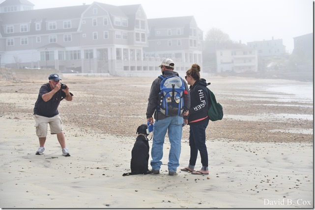2012 5 8 Walks & GHS BB vs Malden 127