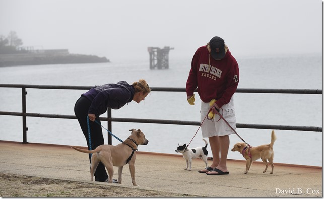 2012 5 8 Walks & GHS BB vs Malden 132