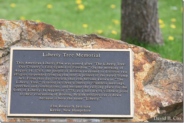 2012 5 8 Walks & GHS BB vs Malden 136