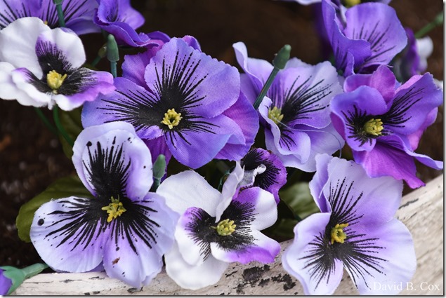 2012 5 8 Walks & GHS BB vs Malden 141