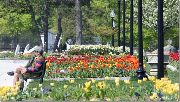 2018 5 15 GHS BB & Softball & Walks 135 - Copy