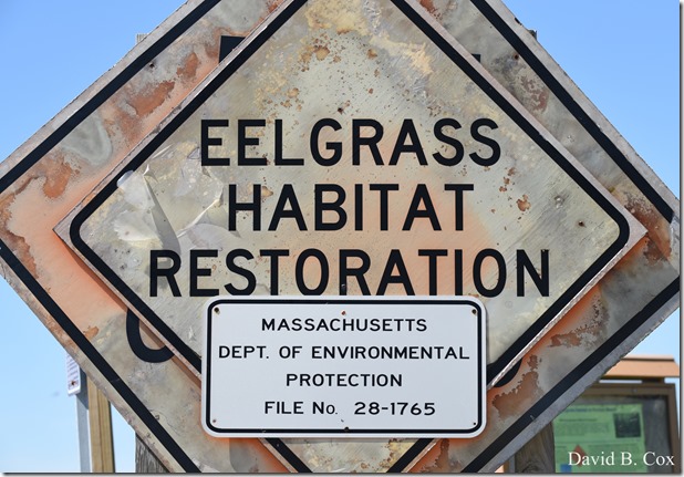 2018 5 26 A Weeks Walks 002