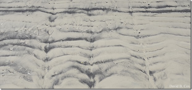 2018 5 26 A Weeks Walks 005