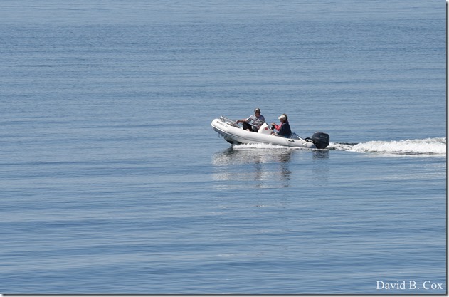 2018 5 26 A Weeks Walks 007