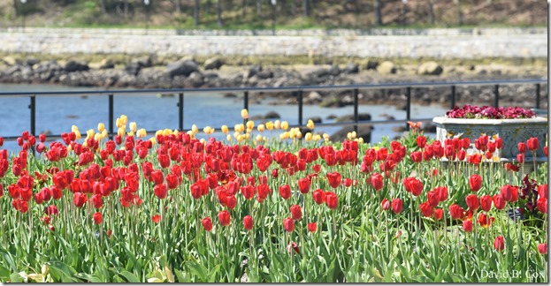 2018 5 26 A Weeks Walks 009