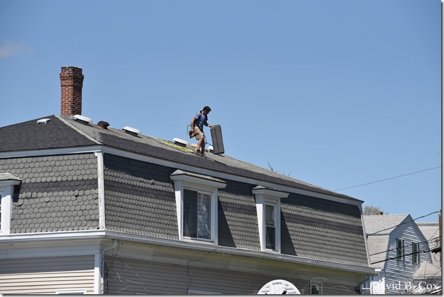 2018 5 26 A Weeks Walks 026