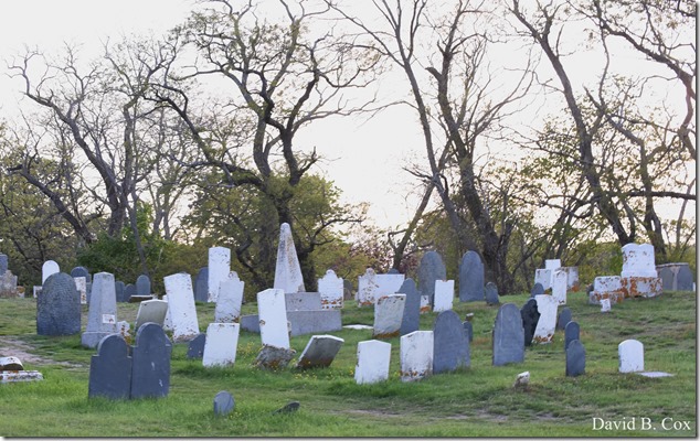 2018 5 26 A Weeks Walks 034