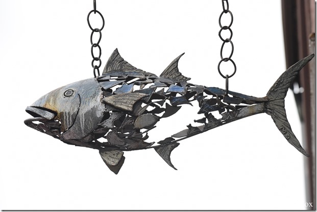 2018 5 26 A Weeks Walks 035