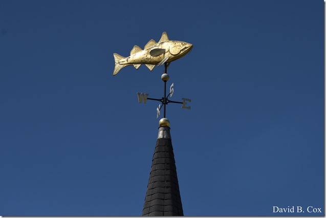 2018 5 26 A Weeks Walks 039