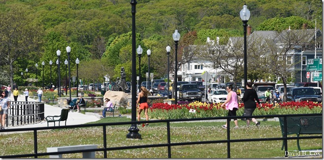 2018 5 26 A Weeks Walks 044