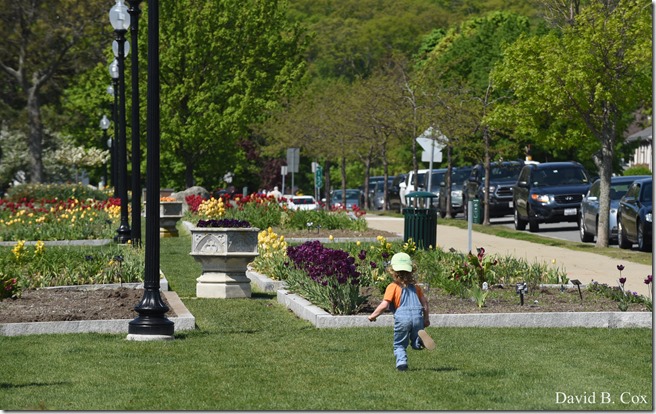 2018 5 26 A Weeks Walks 048