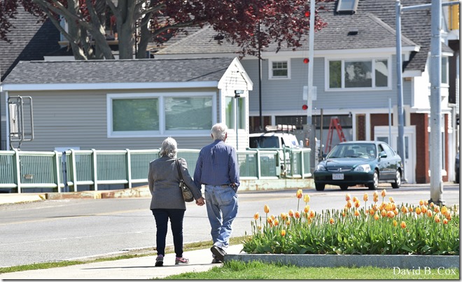 2018 5 26 A Weeks Walks 049