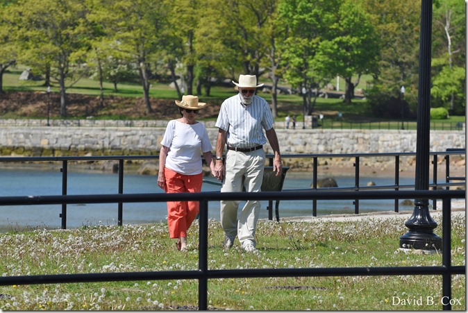 2018 5 26 A Weeks Walks 050