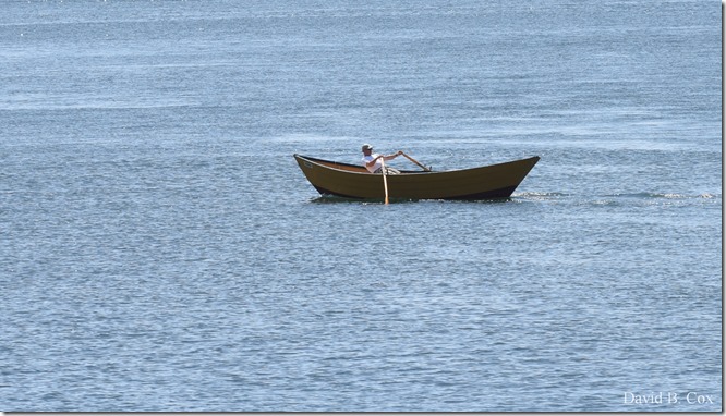 2018 5 26 A Weeks Walks 052