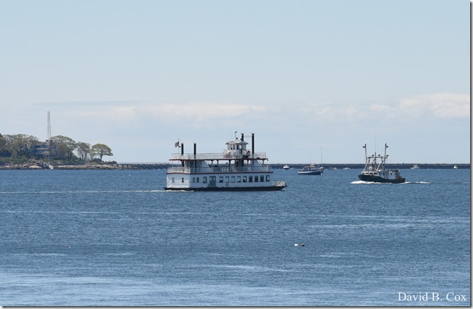 2018 5 26 A Weeks Walks 055