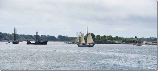 2018 5 26 A Weeks Walks 107