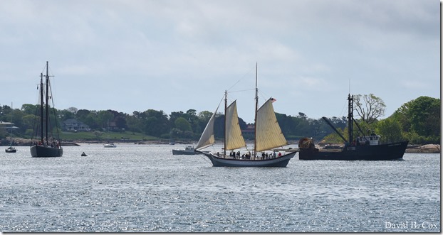 2018 5 26 A Weeks Walks 109