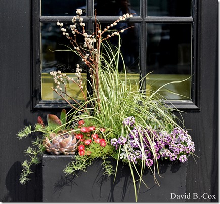 2018 5 26 A Weeks Walks 126