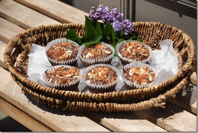 2018 5 26 A Weeks Walks 184