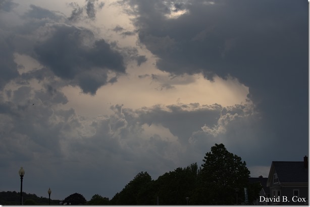 2018 5 26 A Weeks Walks 212