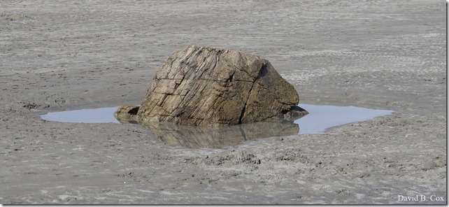 2018 5 3 Misc Walks Sony 067