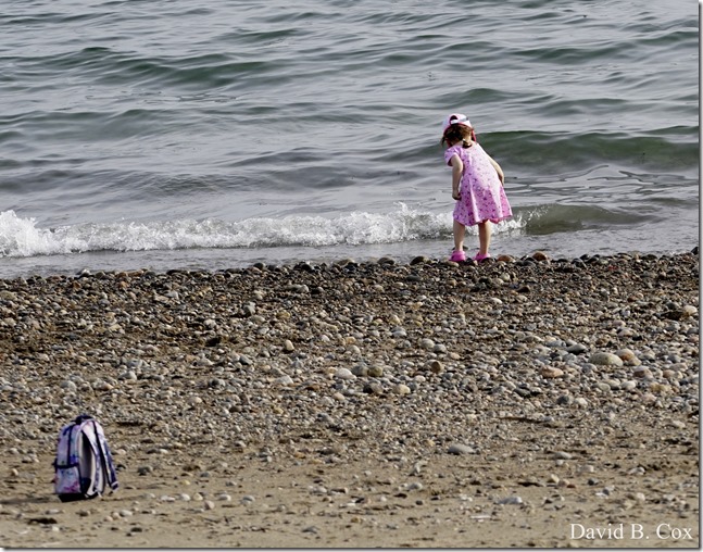 2018 5 3 Misc Walks Sony 071