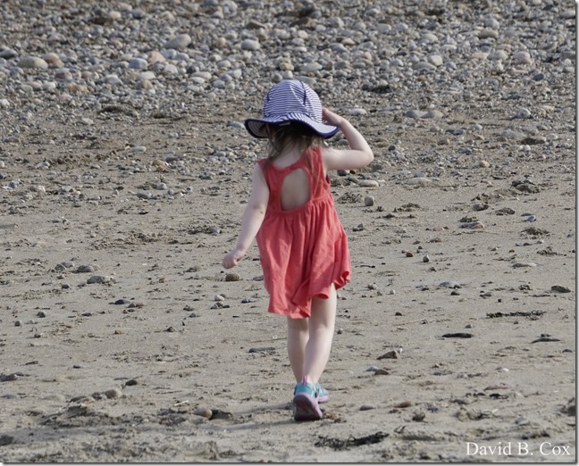 2018 5 3 Misc Walks Sony 076