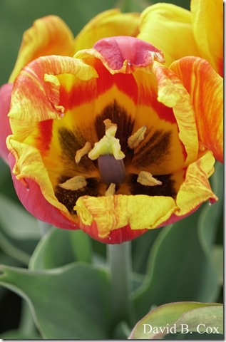 2018 5 3 Misc Walks Sony 102