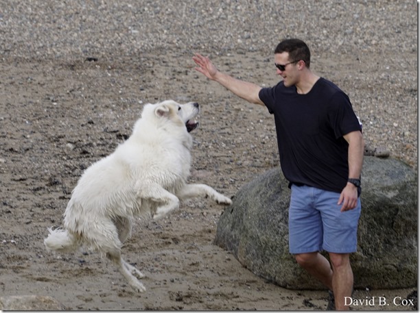 2018 5 3 Misc Walks Sony 120