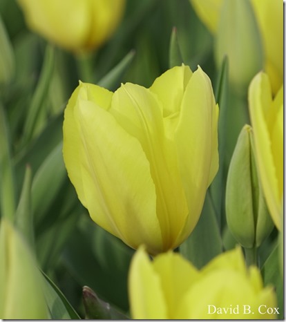 2018 5 3 Misc Walks Sony 150