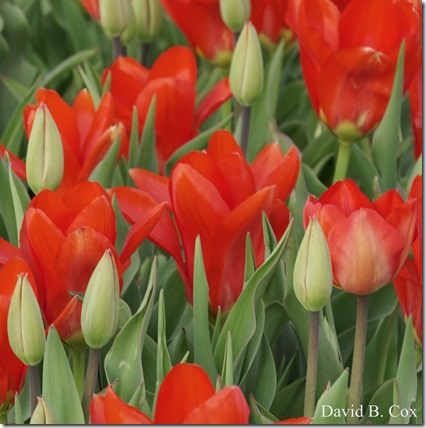 2018 5 3 Misc Walks Sony 165