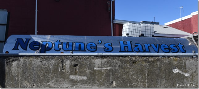 2018 5 4 Misc Walks & GHS Softball vs Swamp 005