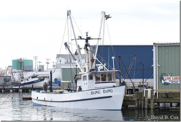 2018 5 4 Misc Walks & GHS Softball vs Swamp 033