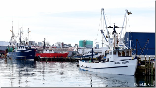 2018 5 4 Misc Walks & GHS Softball vs Swamp 034